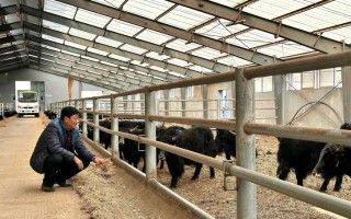 青海大通百世快递在哪里