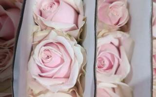 百世快递哈尔滨网点分布