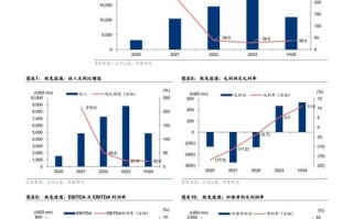 开江普安百世快递注册人是谁？