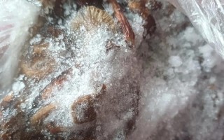 百世快递单号编码是几位数？