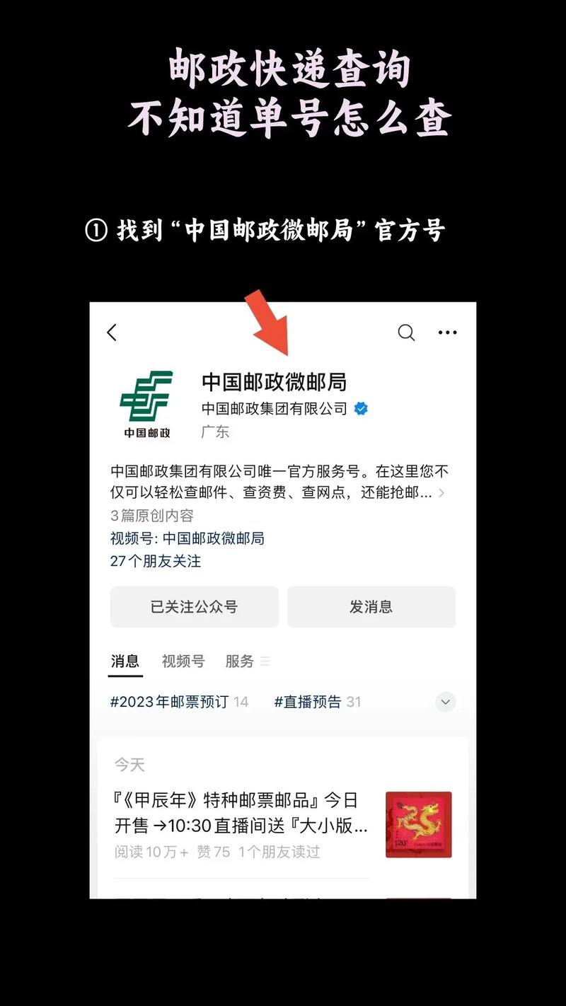 中邮快递单号怎么在cnpex查网点？-第3张图片-智迈物流科技网