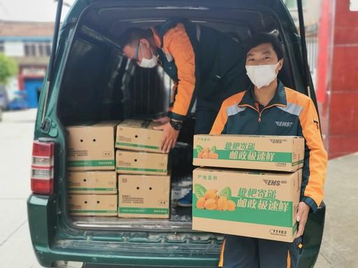 昆明西山区EMS网点电话怎么查?-第2张图片-智迈物流科技网 昆明西山区EMS网点电话怎么查?-第2张图片-智迈物流科技网