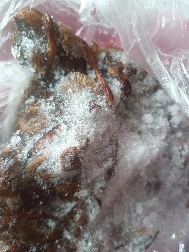 百世快递人工电话为何总打不通？-第3张图片-智迈物流科技网