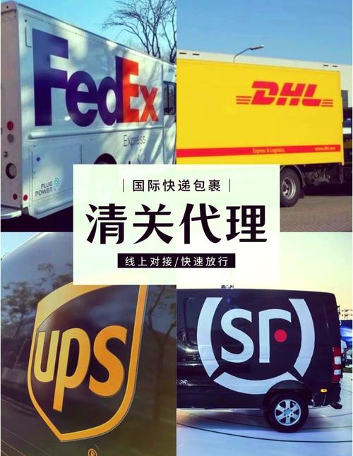 DHL中国上海网点电话是多少？-第1张图片-智迈物流科技网