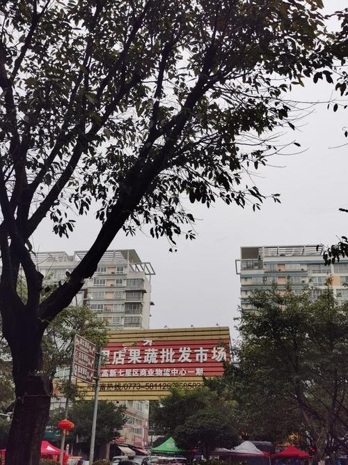 桂林物流网点查询七星区-第3张图片-智迈物流科技网