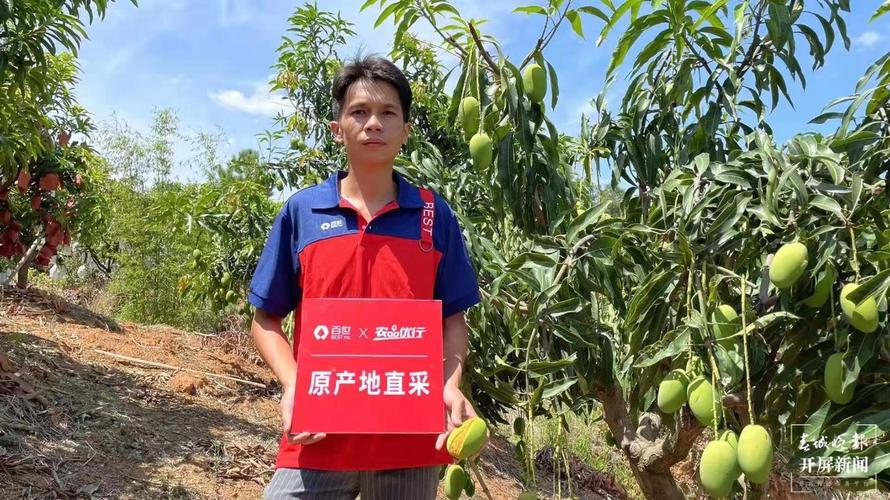 百世快递普宁站离职流程是什么？-第3张图片-智迈物流科技网