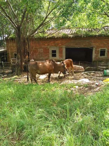 博罗麻陂镇安能物流电话是多少？-第3张图片-智迈物流科技网