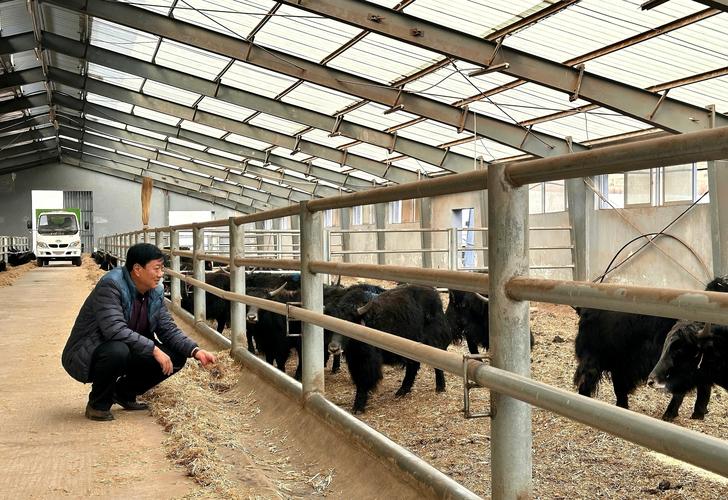 青海大通百世快递在哪里-第1张图片-智迈物流科技网