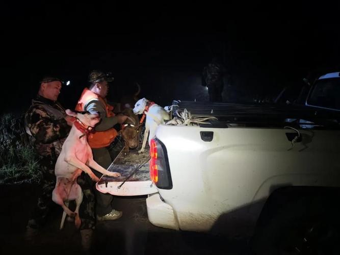 安能物流定州李亲顾事件究竟是怎么回事？-第3张图片-智迈物流科技网