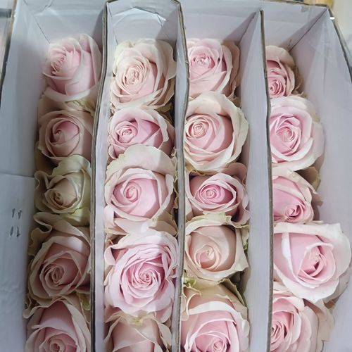 百世快递哈尔滨网点分布-第2张图片-智迈物流科技网