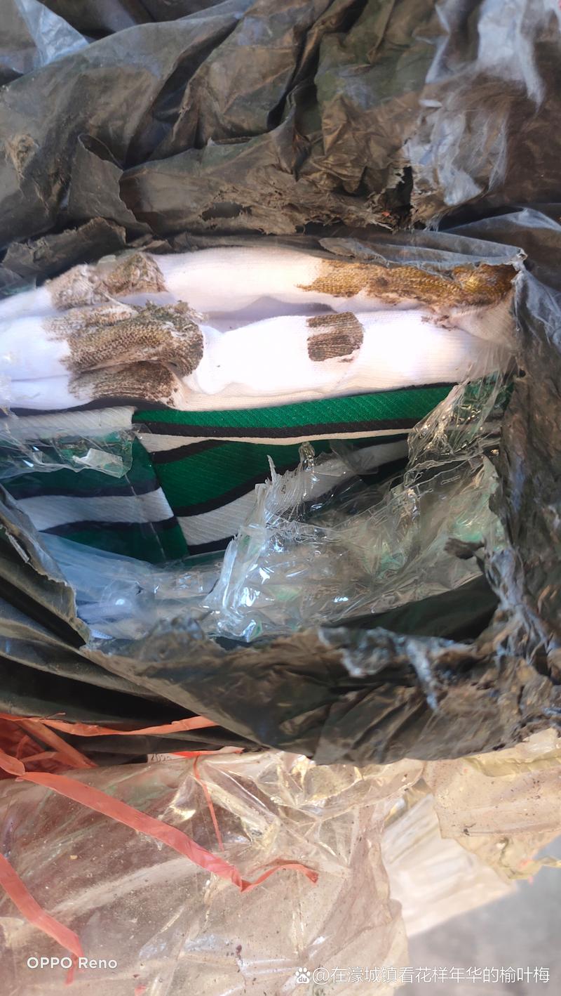 百世快递静兰分部地址-第3张图片-智迈物流科技网 百世快递静兰分部地址-第3张图片-智迈物流科技网