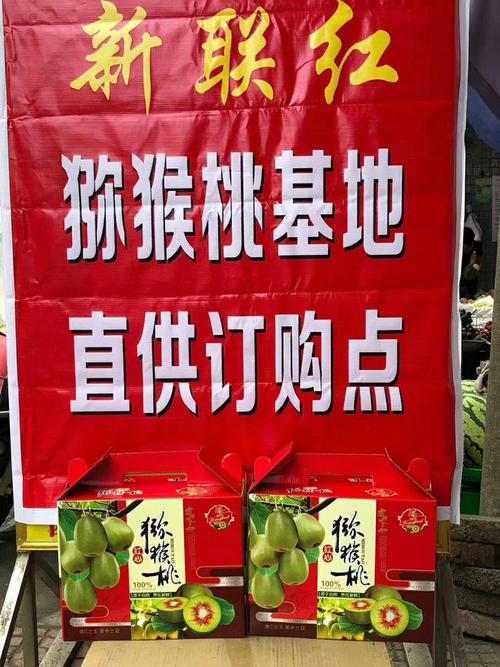 珙县上罗镇快递网点在哪?-第3张图片-智迈物流科技网 珙县上罗镇快递网点在哪?-第3张图片-智迈物流科技网