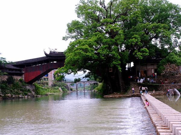 泰顺泗溪百世快递电话是多少？-第3张图片-智迈物流科技网